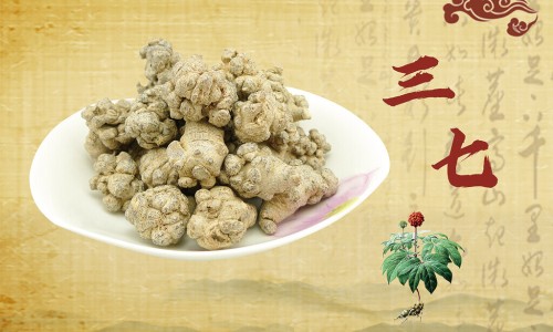 三七对痛风有治疗作用吗-【三七粉对痛风的功效与作用】痛风吃三七粉会加重病情吗 - 痛风中药三七粉的功效和作用网