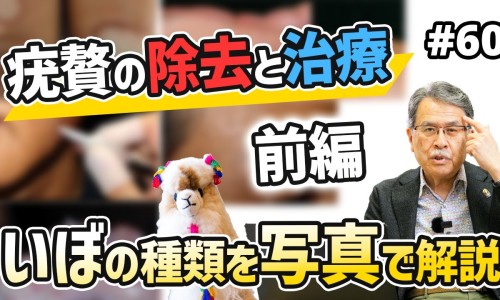 三七粉对痛风的功效与作用-【三七粉对痛风的功效与作用】痛风吃三七粉会加重病情吗 - 痛风中药三七粉的功效和作用网